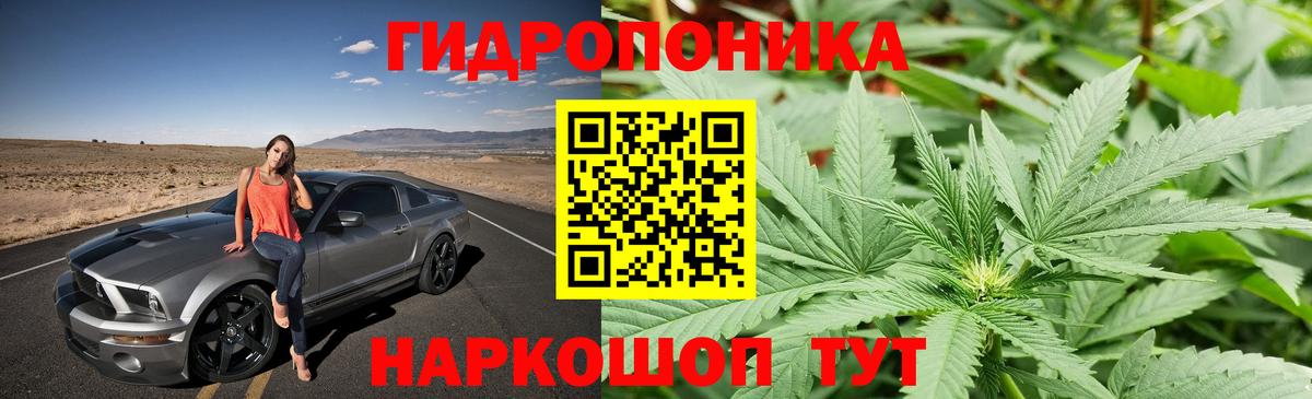 Бошки Шишки Bruce Banner Будённовск